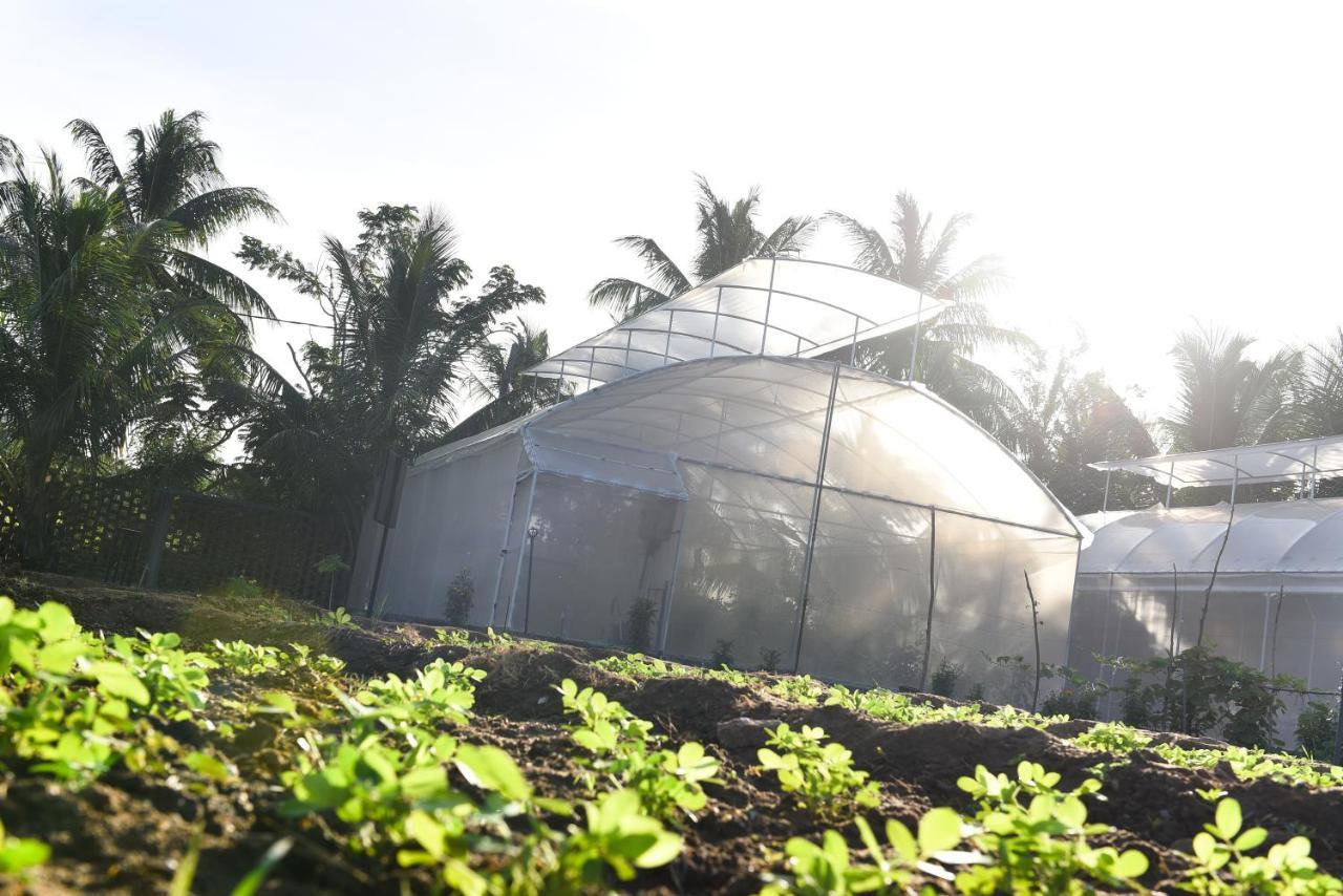 Blue Wild - Yala - Plastic Free & Sustainable Tissamaharama Extérieur photo