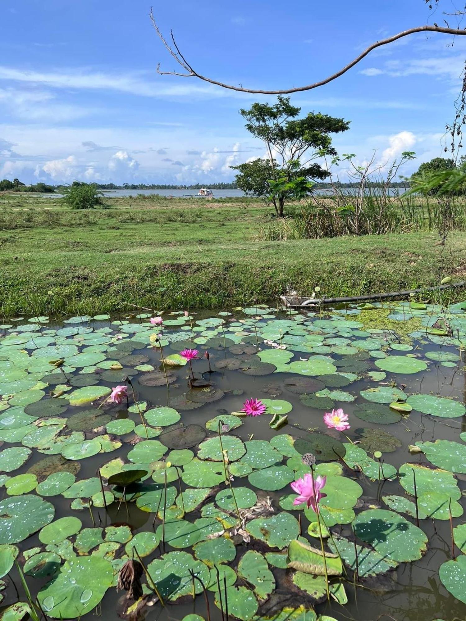 Blue Wild - Yala - Plastic Free & Sustainable Tissamaharama Extérieur photo