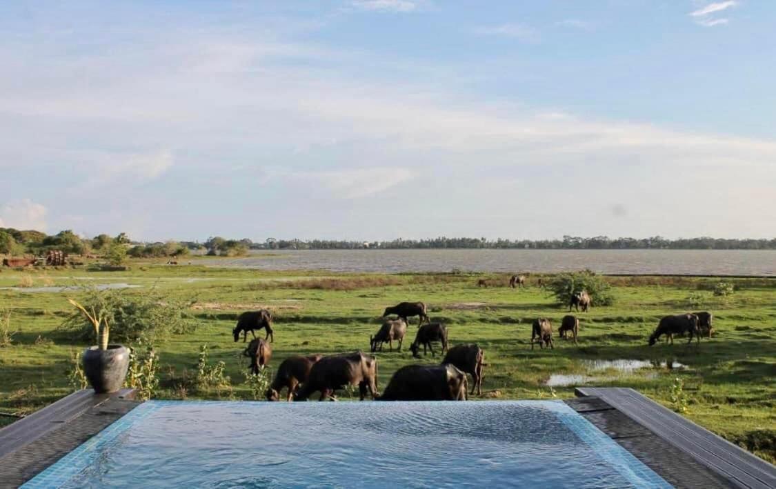 Blue Wild - Yala - Plastic Free & Sustainable Tissamaharama Extérieur photo